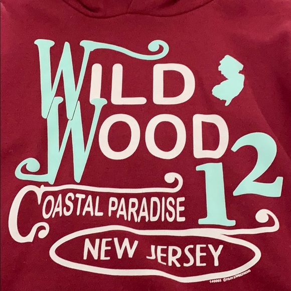 Tops - pinkish red kind of maroon wildwood hoodie